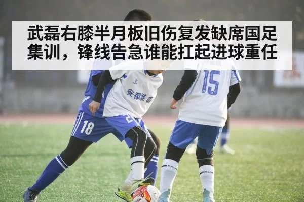 武磊右膝半月板旧伤复发缺席国足集训,锋线告急谁能扛起进球重任